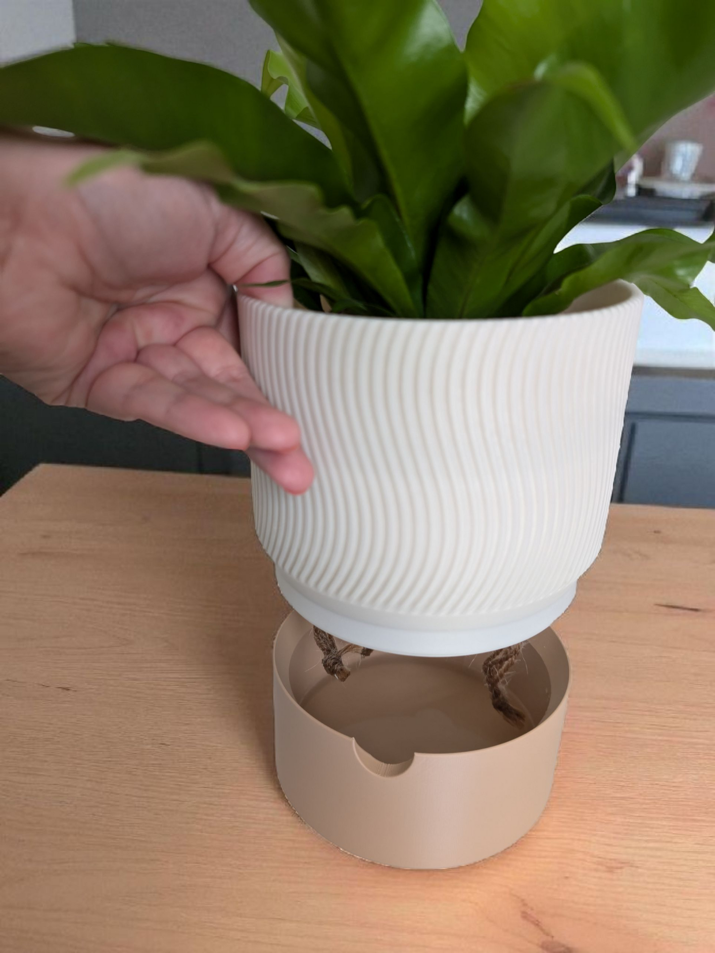 2-teiliger Pflanztopf „Ribbed Duo“